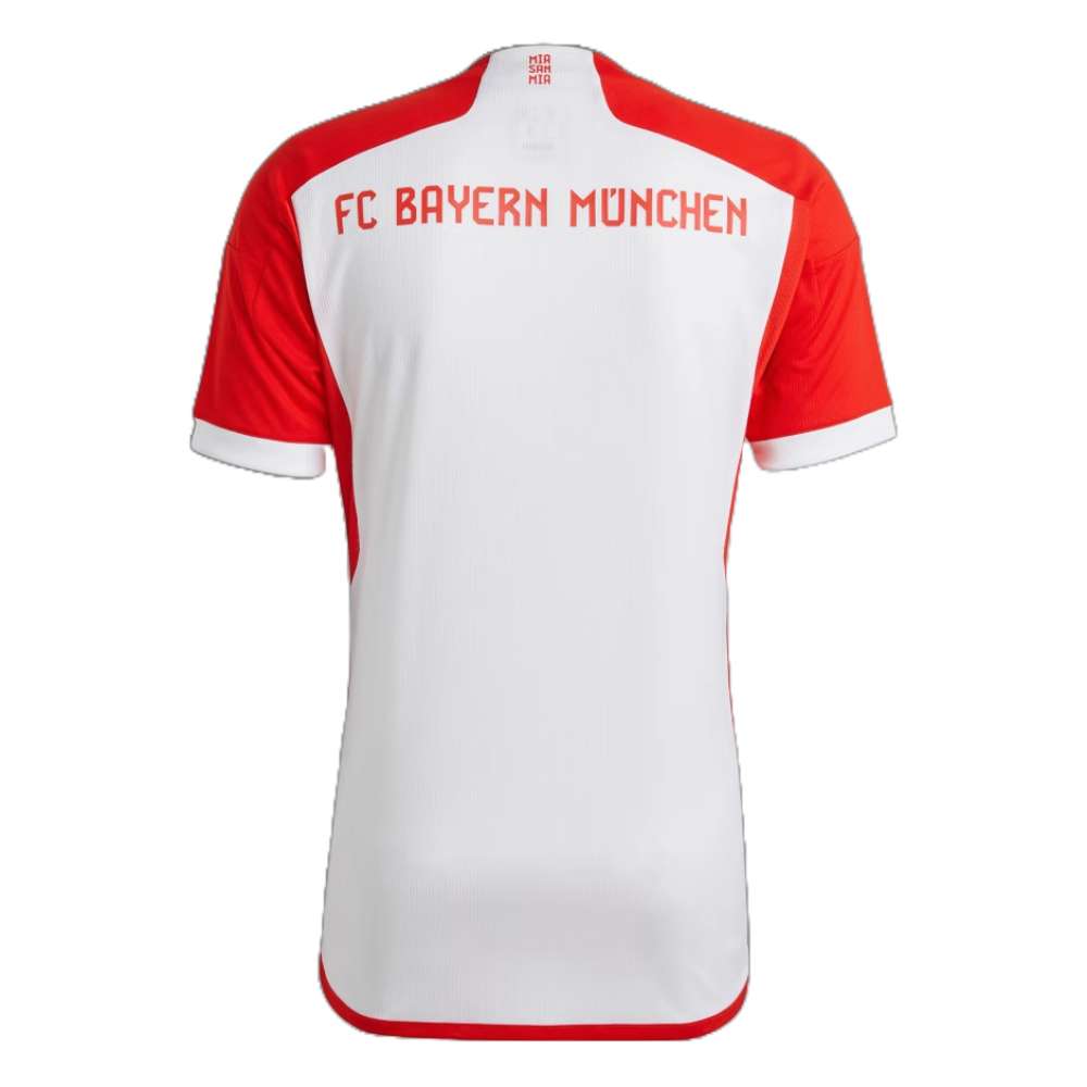 adidas 2023-24 Bayern Munich Men's Stadium Third Soccer